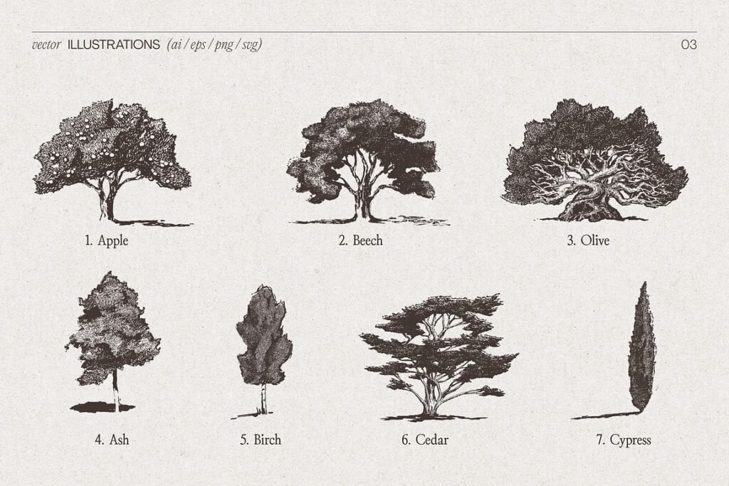 High Detail Tree Sketches Collection