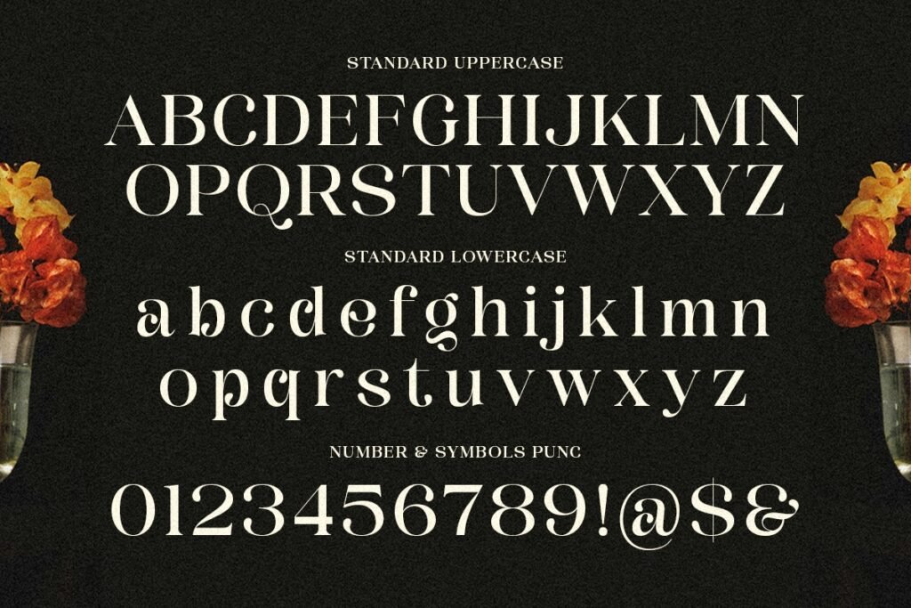 Dinner Grope Classy Display Serif