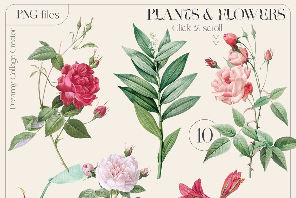 Bundle Collage Creator Art Elements