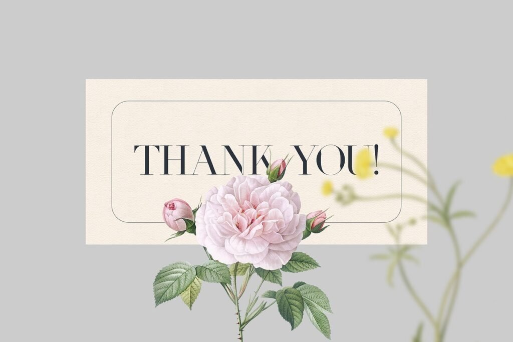 Bundle Collage Creator Art Elements