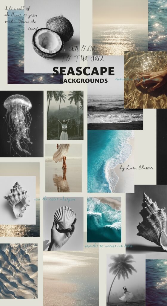 SEASCAPE Line, Seashells & Textures