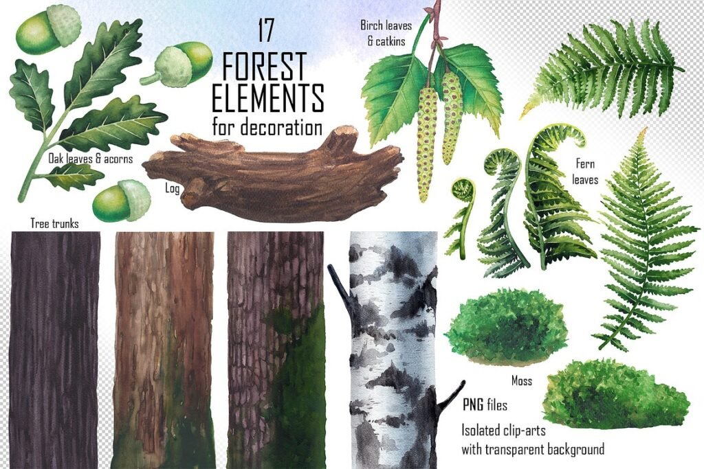 Watercolor Medicinal Mushrooms