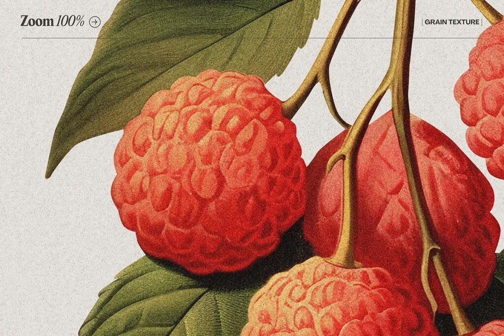 Illustrations of Fruits and Berries