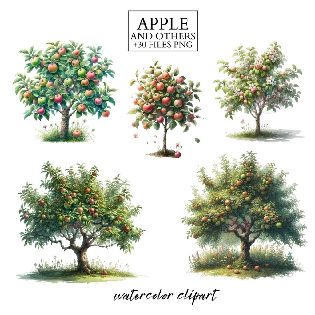 Apple Clipart Set Watercolor PNG