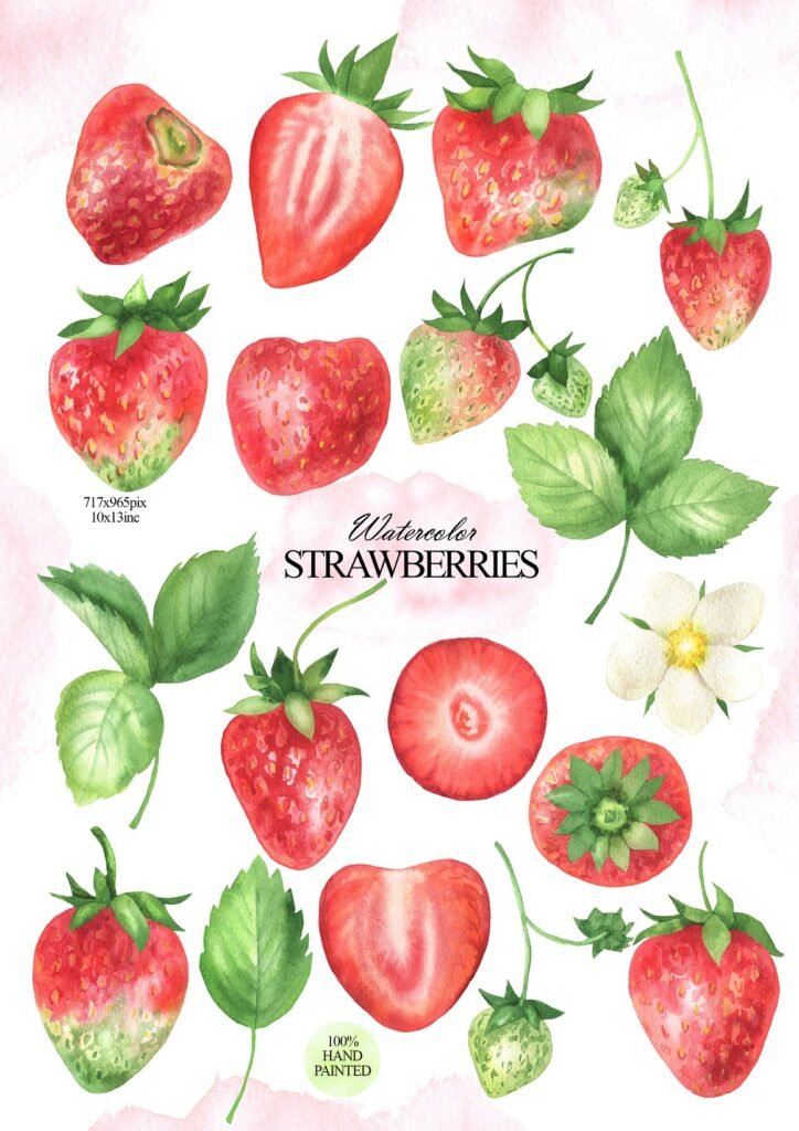 Watercolor strawberry clipart set