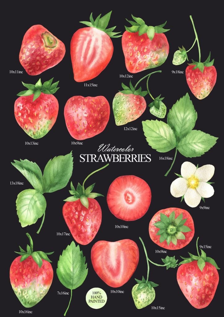 Watercolor strawberry clipart set