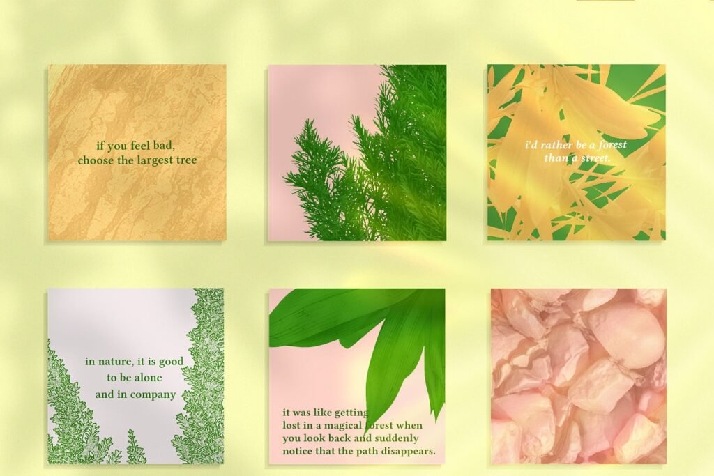 Nature Graphics Collection