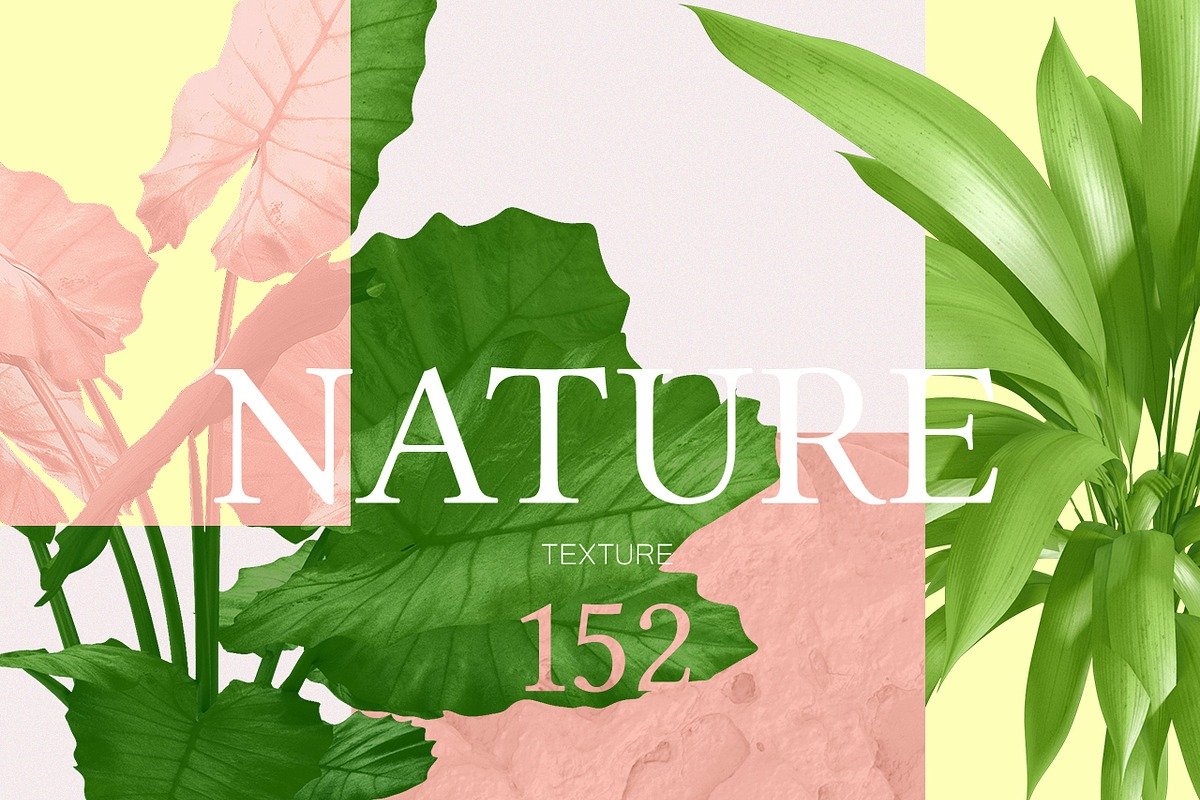 Nature Graphics Collection